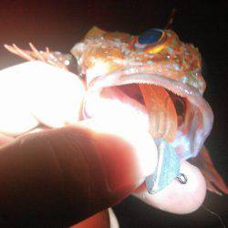 長潮の濁り潮の巻